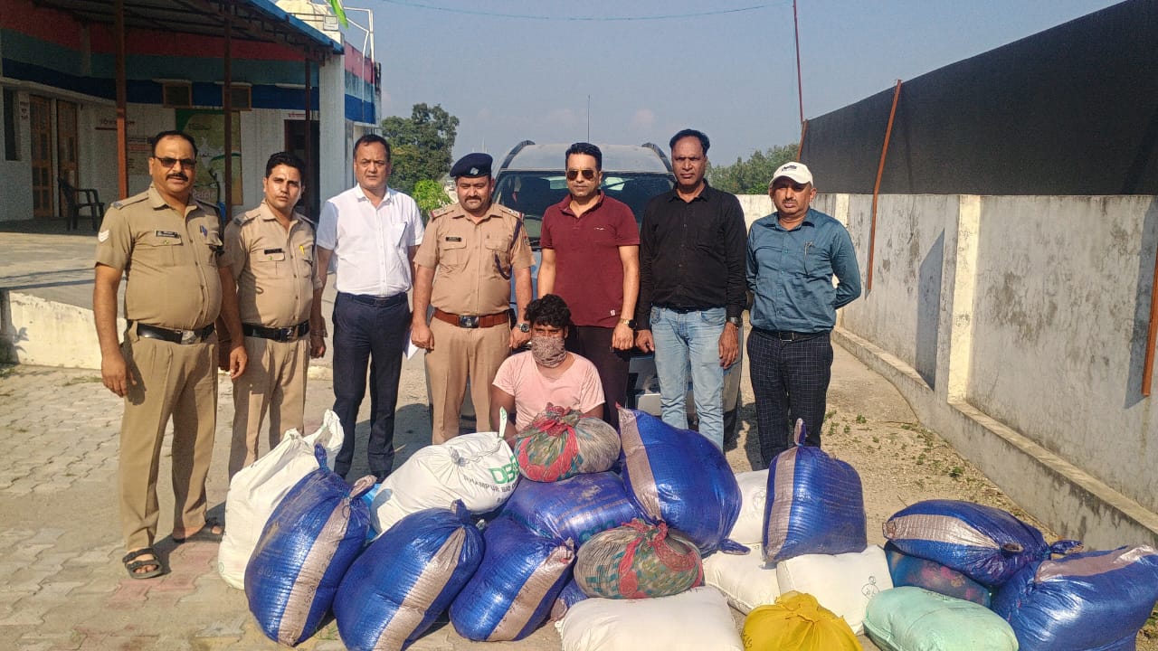 मिलावटी खाद्य पदार्थों के खिलाफ अभियान जारी, सीमाओं पर भी बढ़ाई चौकसी