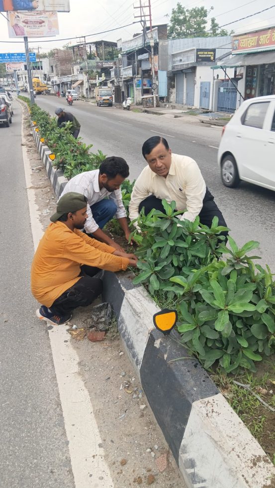 एक लाख पौधों से एमडीडीए बदलेगा देहरादून की तस्वीर